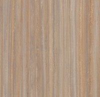 5225 Compressed Time Striato 